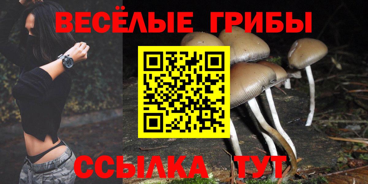 где найти наркотики  Псилоцибиновые грибы Cubensis  Альметьевск  Вход с VPN  Галлюциногенные грибы Cubensis 