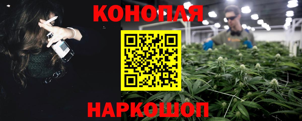 Бошки Шишки планчик  Марихуана планчик  Марихуана сатива  Альметьевск  Вход с VPN 